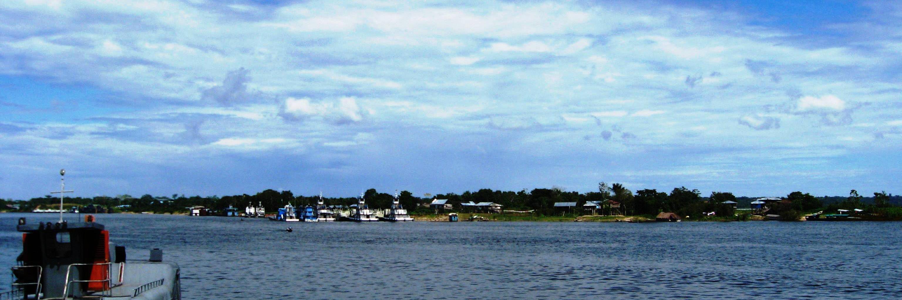 ViveVioleta's profile banner image