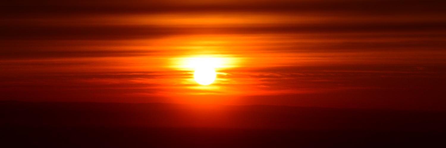 Li @dragonli@troet.cafe banner