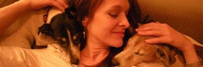 trickytweeter's profile banner image