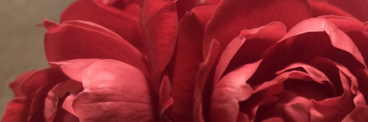 shifting4now's profile banner image