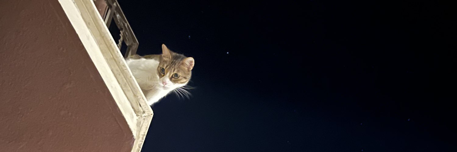 jesusmolmad's profile banner image