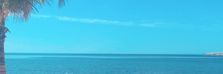SusyQ__'s profile banner image