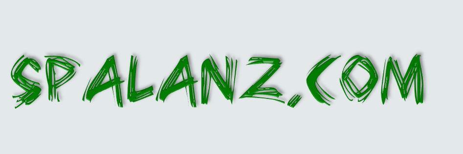 spalanz's profile banner image