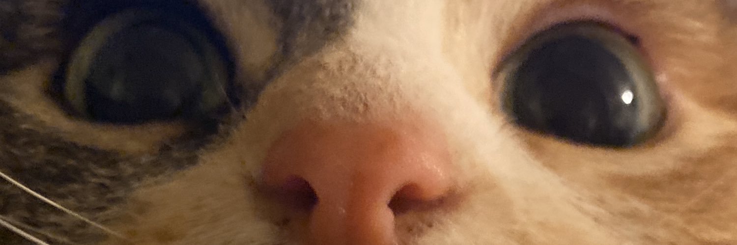 Aubree ❤️‍🔥 banner