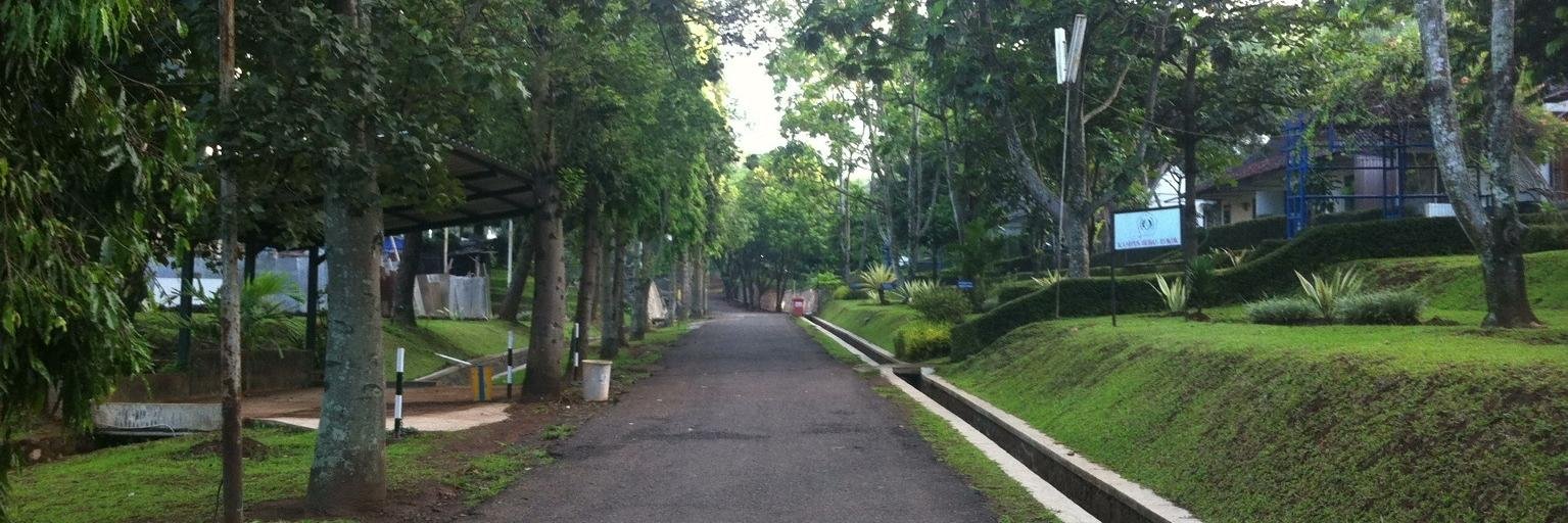 vanekaputri's profile banner image