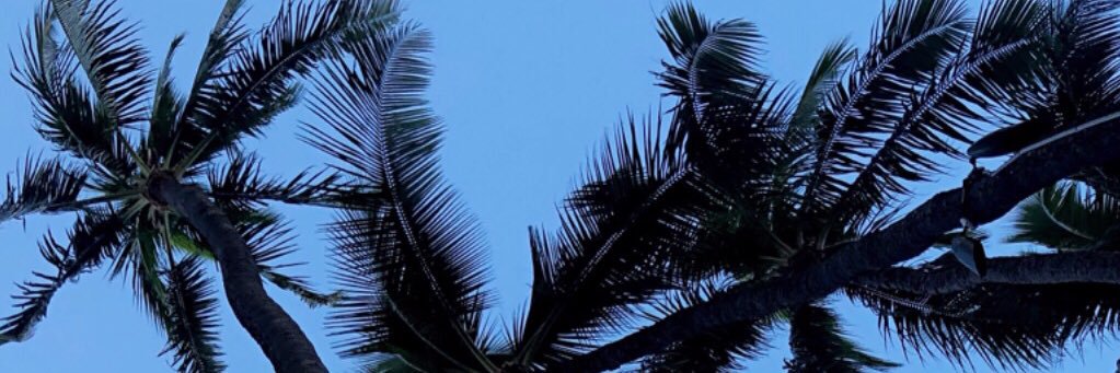 eeeleees's profile banner image