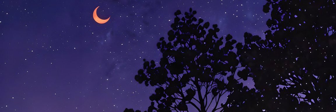 orgasnik's profile banner image