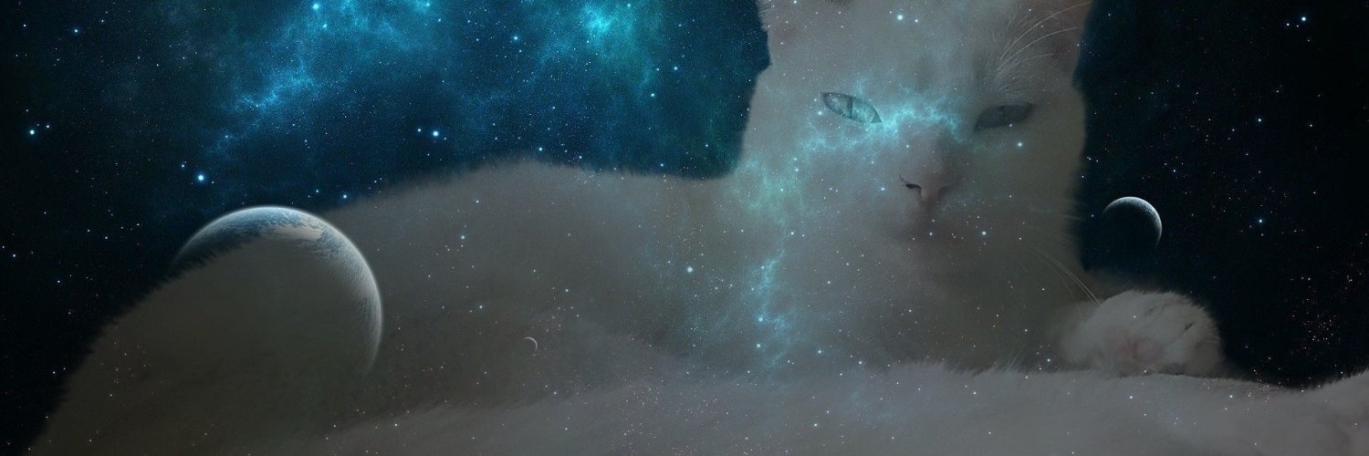 davidAlzate() banner