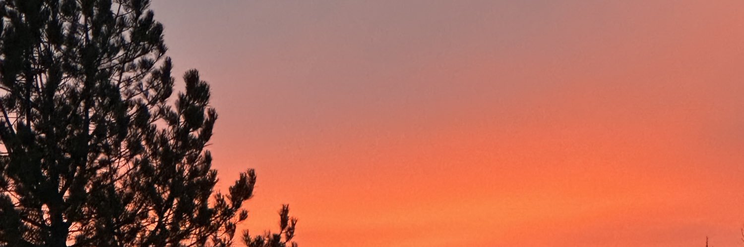 Poaaas's profile banner image