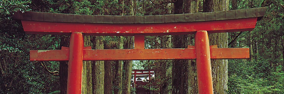 MYDIS313's profile banner image