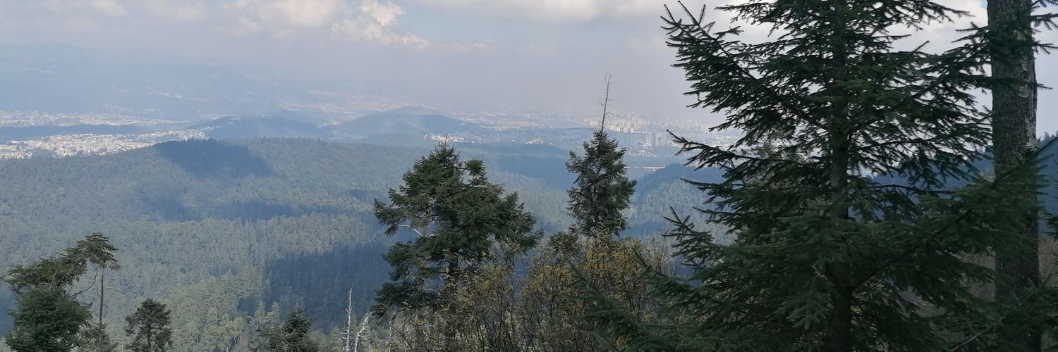 Monserrat Rosas banner