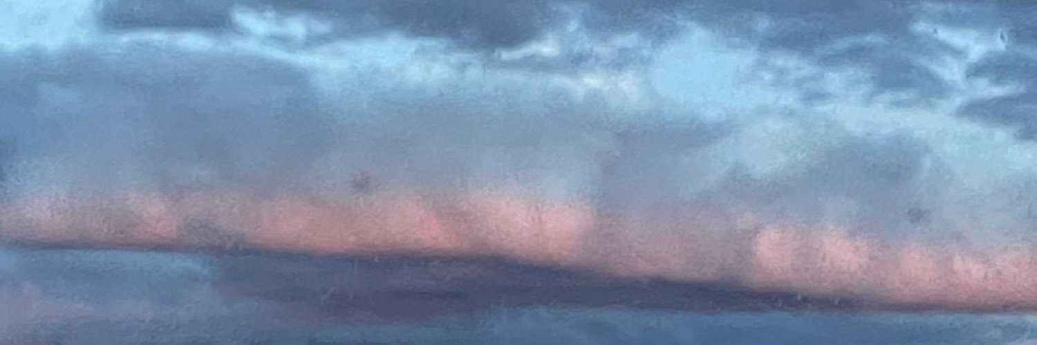 Zicattela's profile banner image