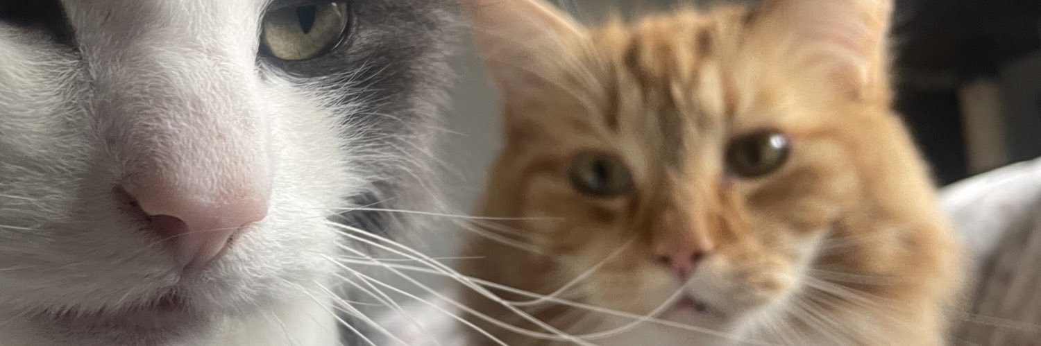 dannimclachlan's profile banner image