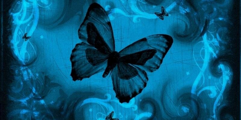 NancyZPeterson's profile banner image