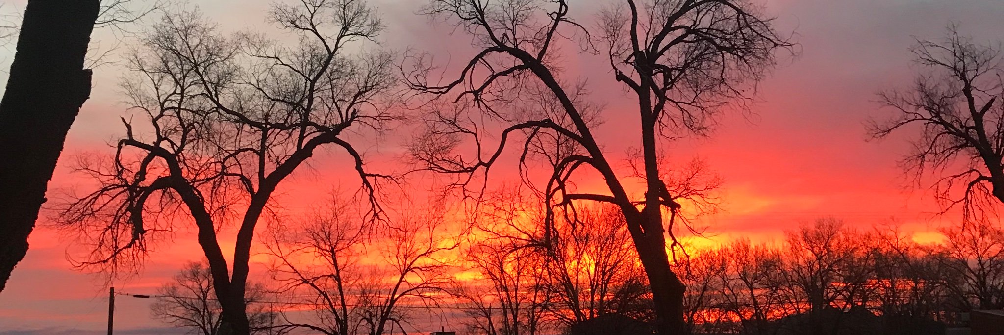 VonDoom505's profile banner image