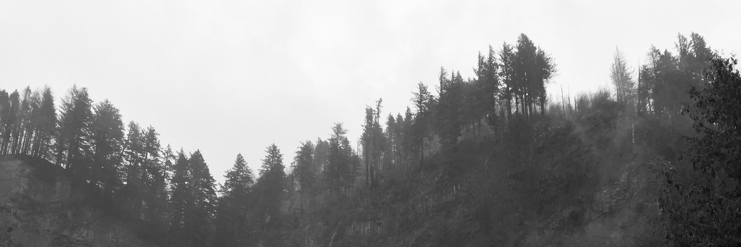 dimB's profile banner image