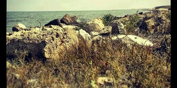 Lynn_Victoria_'s profile banner image