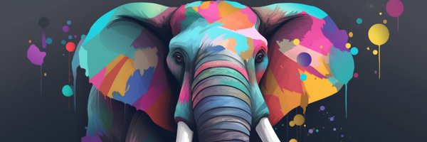 elburro Profile Banner