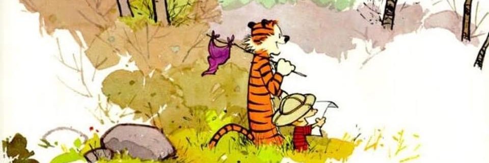 bpatters's profile banner image