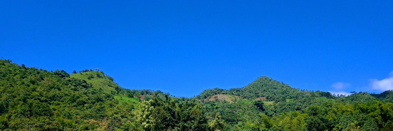 CARLOSNIR's profile banner image