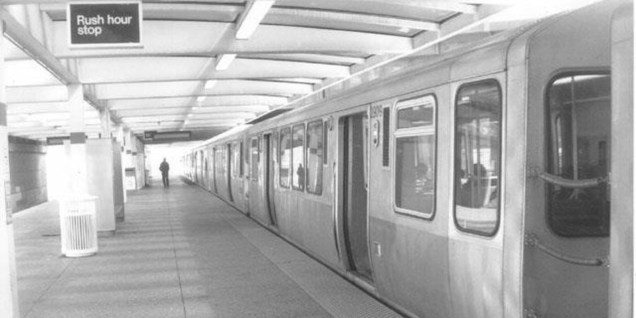 Renard Michael banner