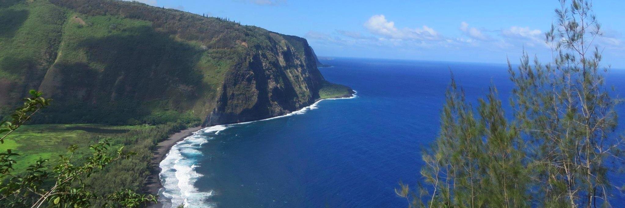 Noor Ali-Hasan banner