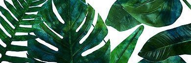 xxHannah_'s profile banner image
