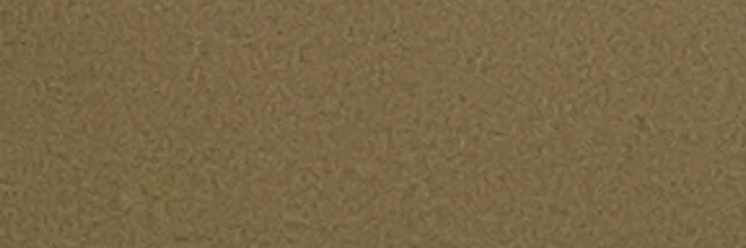 ayannamonae_'s profile banner image