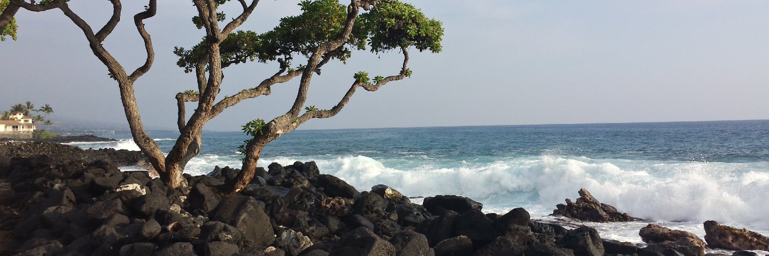 Traci Statler, PhD, CMPC banner