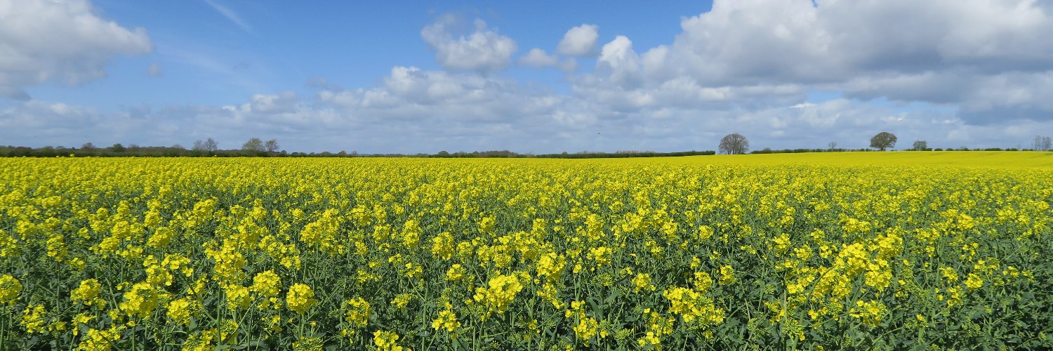 Ciaran_Coll's profile banner image