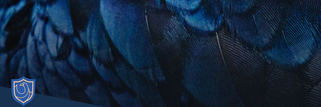 YahelBG's profile banner image