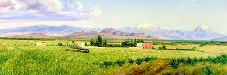 RizziCA's profile banner image