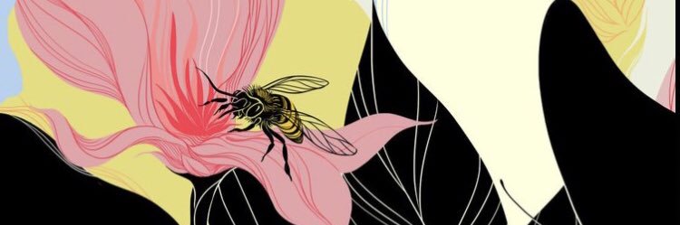 liliana mendiola banner