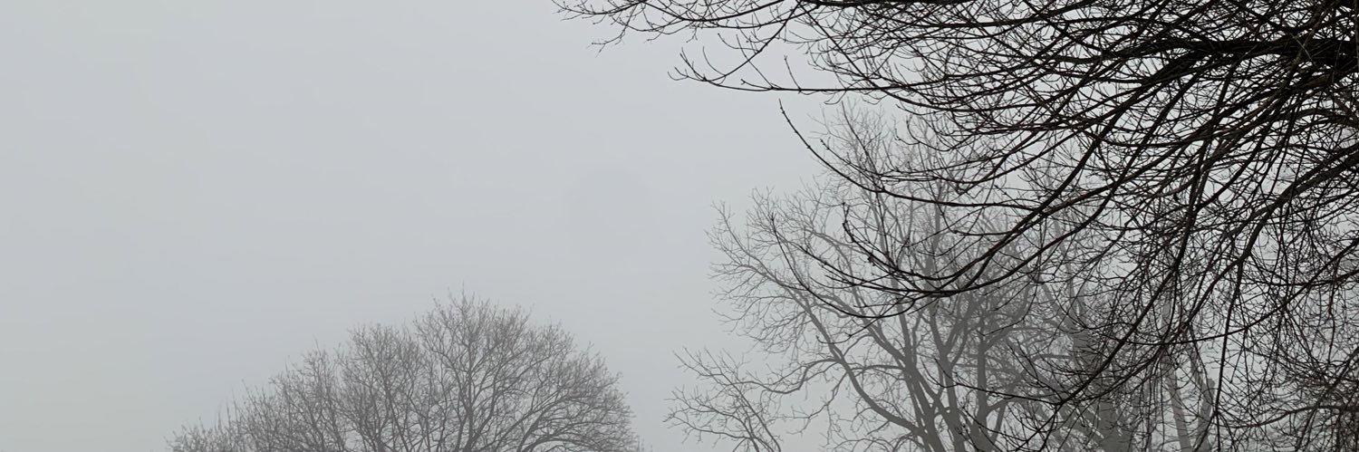 samnelles_'s profile banner image