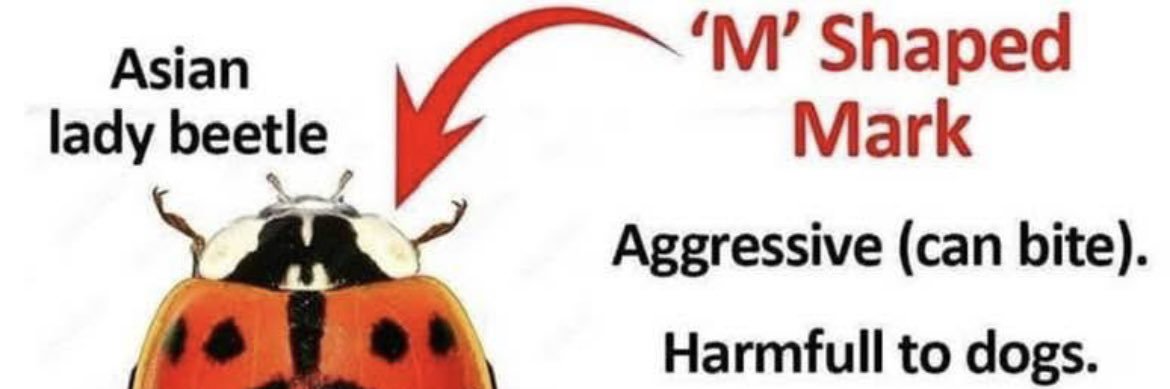 tmword's profile banner image