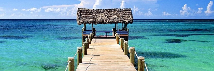 Srecko Miodragovic banner