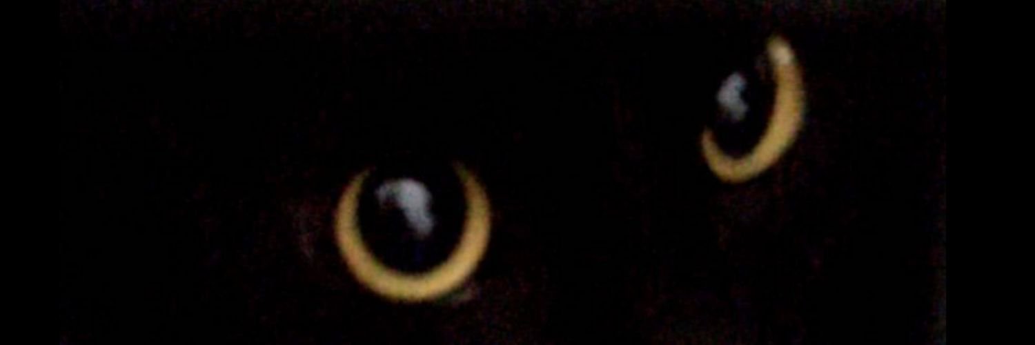 maru_ot's profile banner image