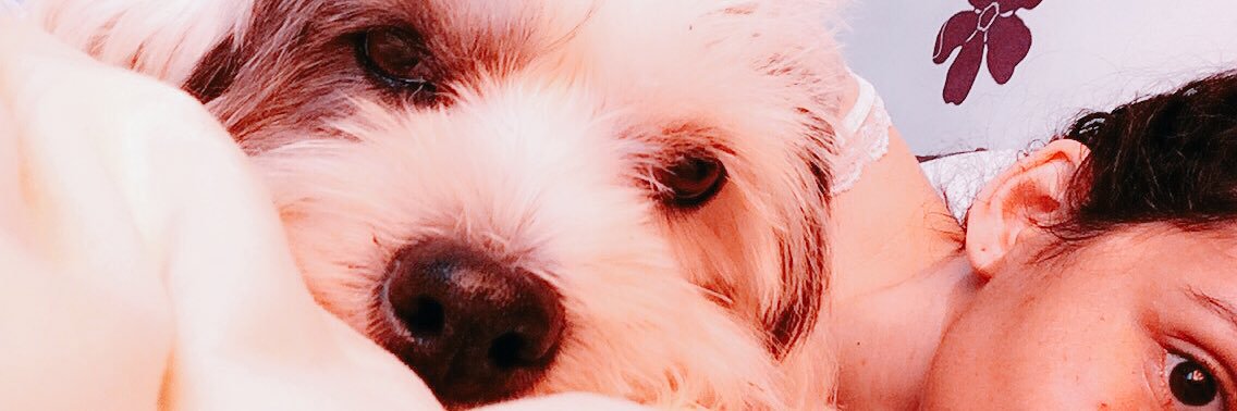eugeniarincon's profile banner image