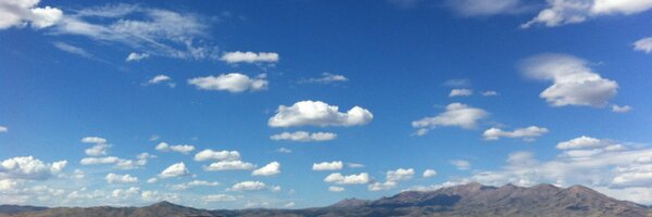 davidnotdave Profile Banner