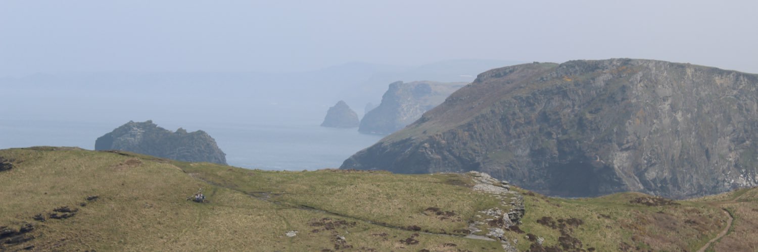 This Guy Runs banner