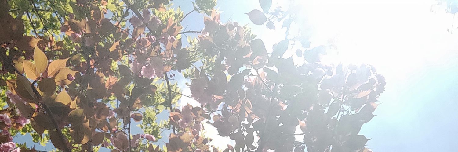 neslihanim's profile banner image