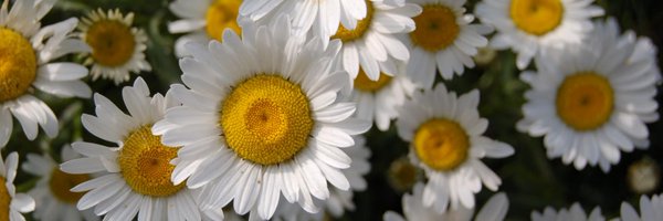 ClareJonesGPR Profile Banner