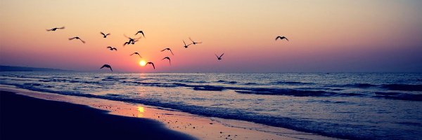 Mariet23_ Profile Banner