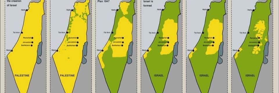 Layla Darwish's banner