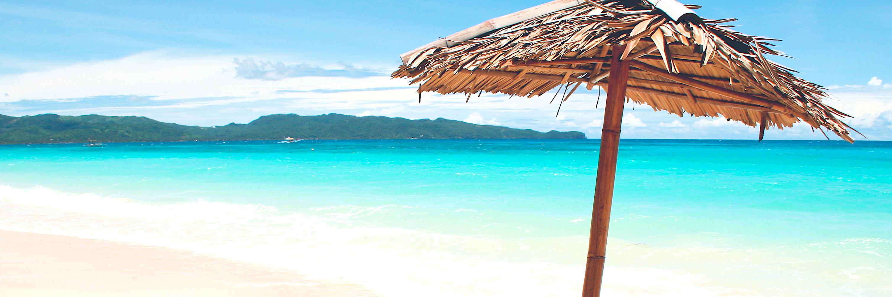 blogginoy's profile banner image