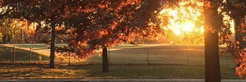 h. anna barlett banner