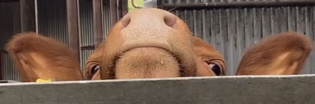 ChDangerfield's profile banner image