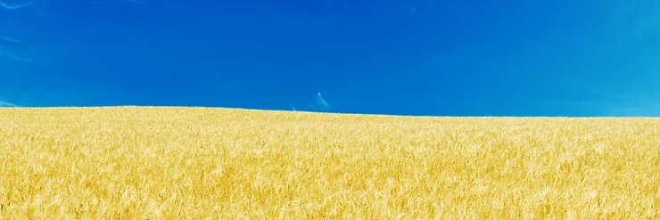 Rob7971's profile banner image