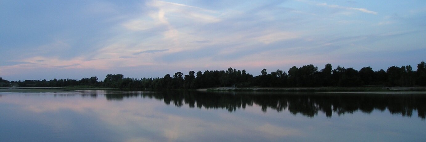 apdavison's profile banner image