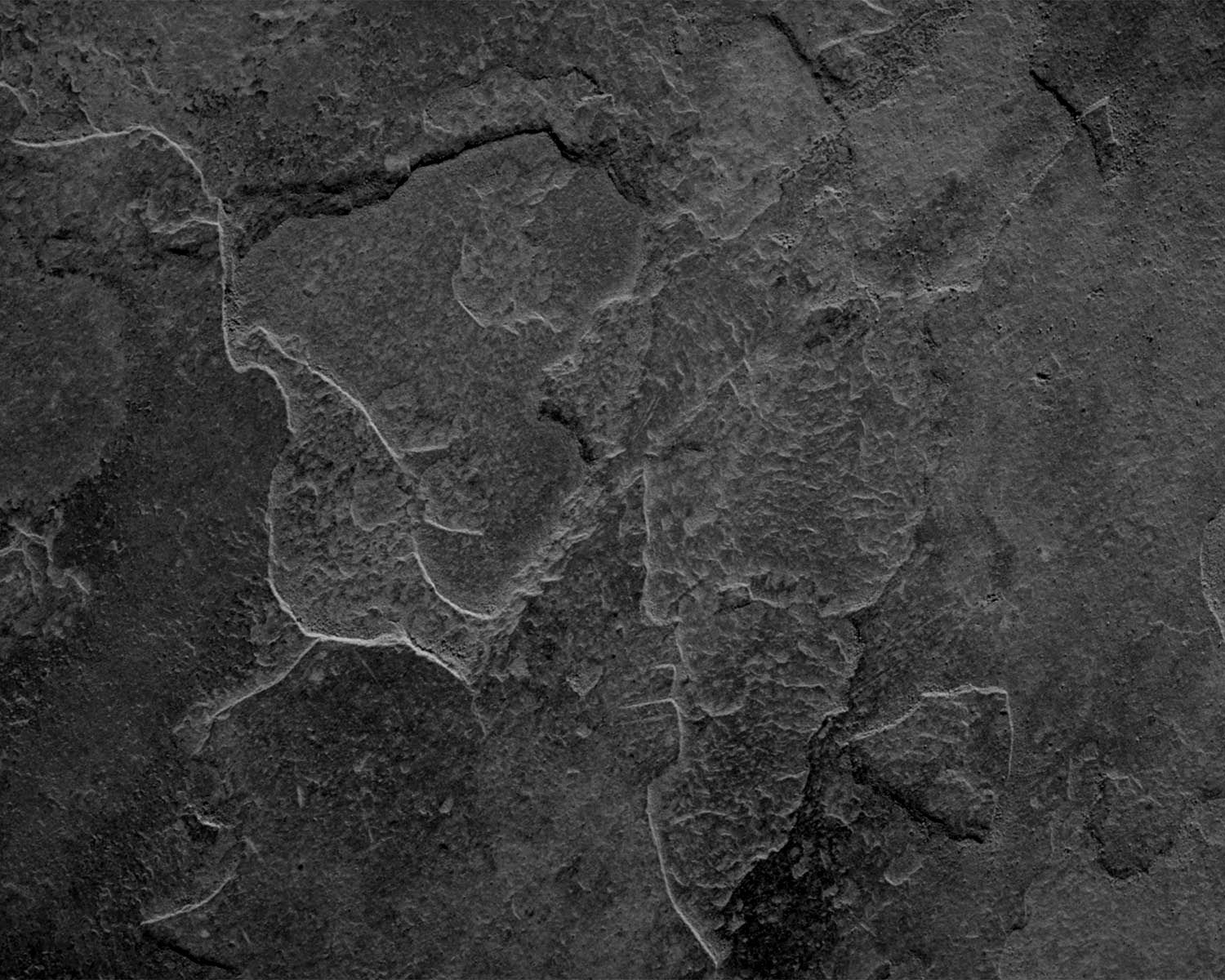 molaro's profile banner image